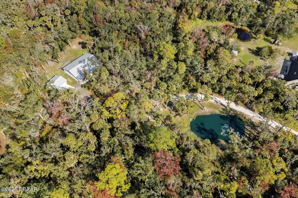 2995 Ragis Road Edgewater, FL 32132 - Photo 37 of 37