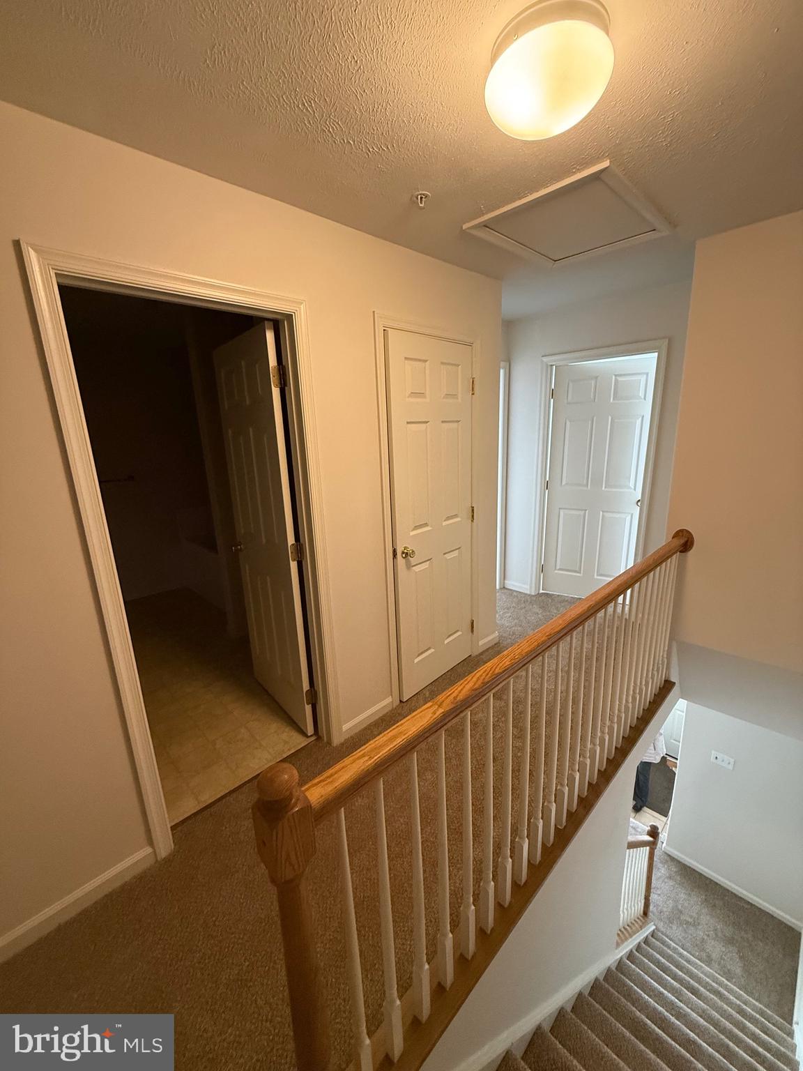 294 Mike Drive Elkton, MD 21921 - Photo 34 of 61 a view of a hallway with entryway