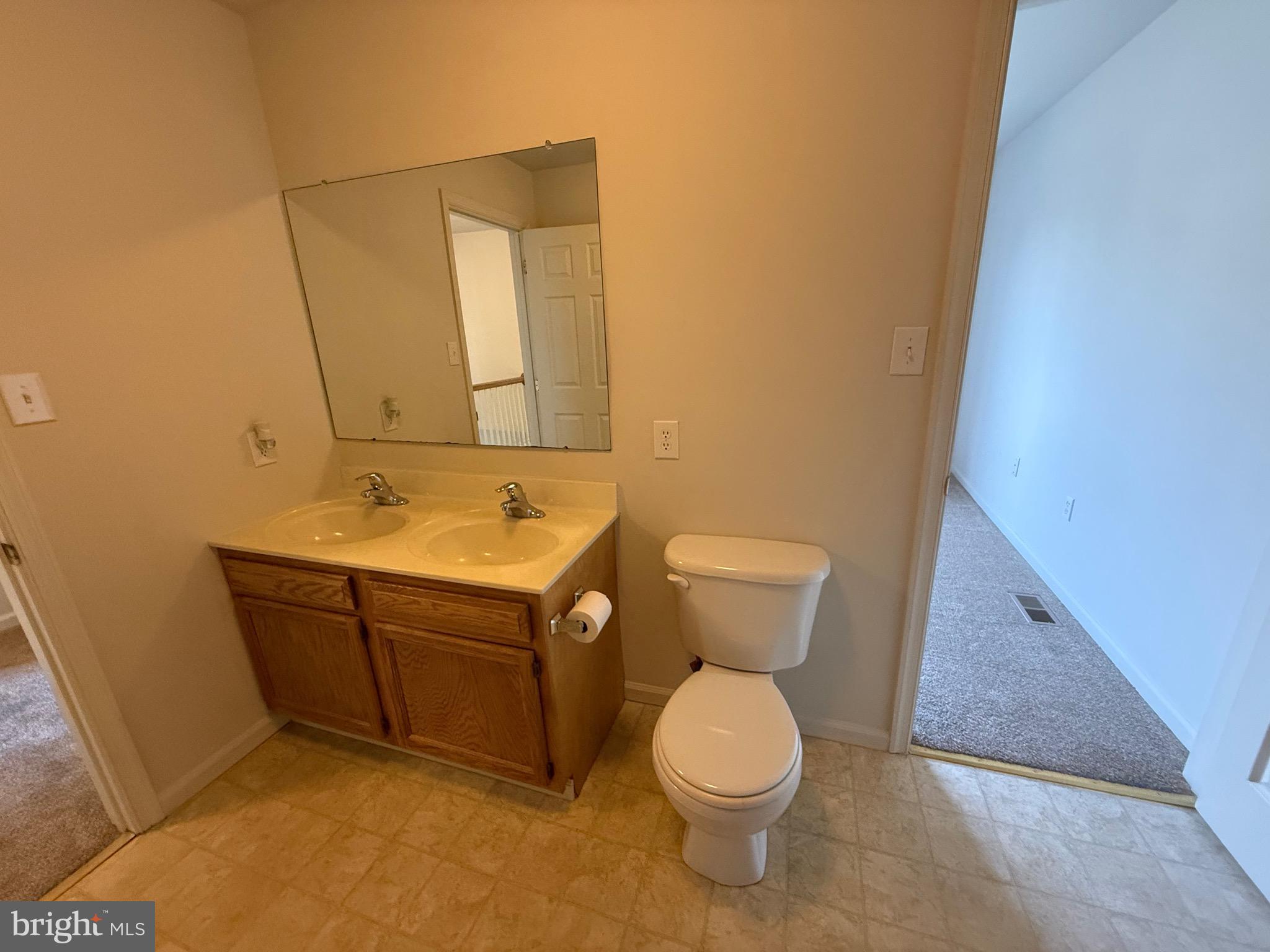 294 Mike Drive Elkton, MD 21921 - Photo 37 of 61 a bathroom with a sink a toilet and mirror