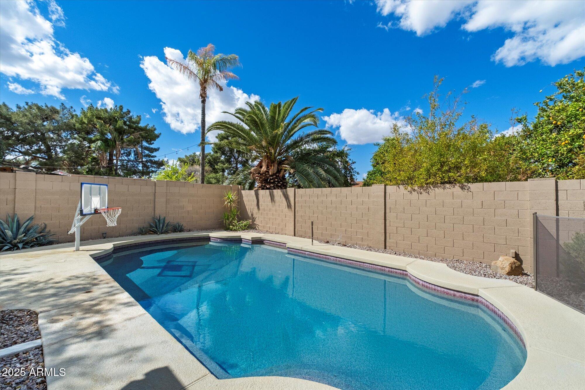 1002 East Grandview Road Phoenix, AZ 85022 - Photo 22 of 29 Pool
