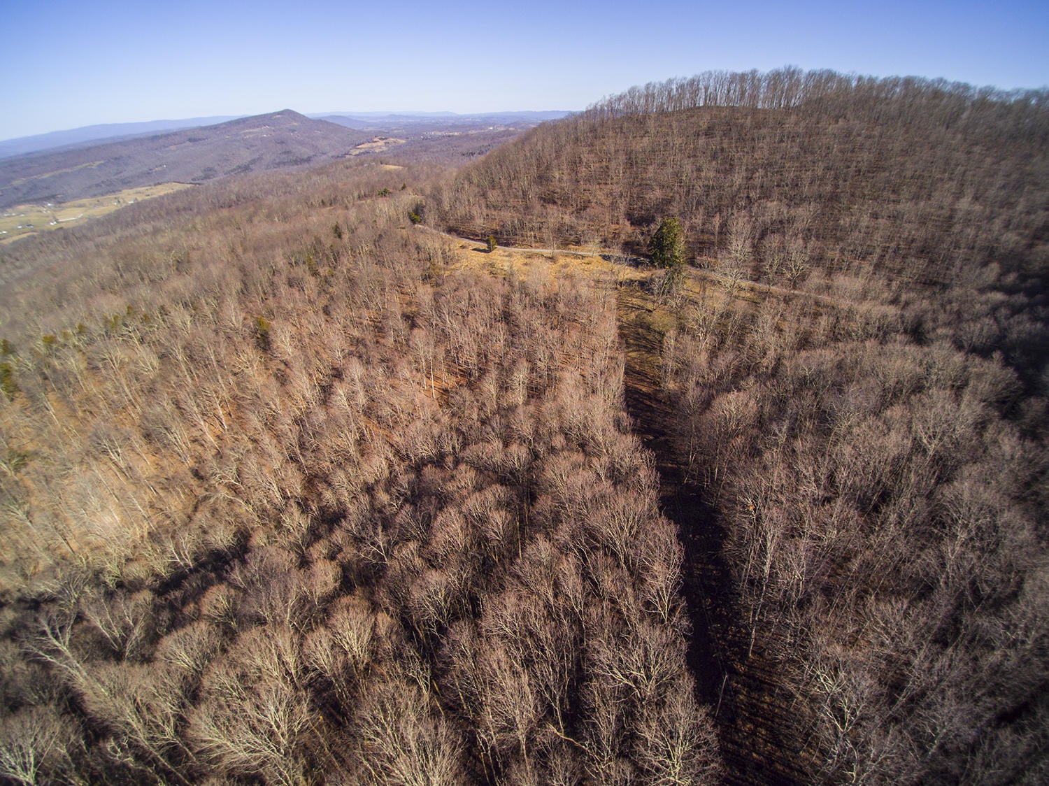 Knobbs Rd Union Union, WV 24983 - Photo 42 of 47 Gallery Image 42