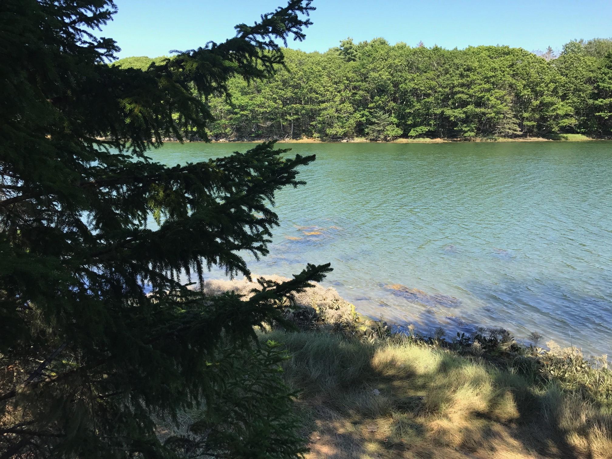 0 Drebelbis Point Road Pemaquid, ME 04558 - Photo 3 of 9 Image 8-9-17 at 3.17 PM