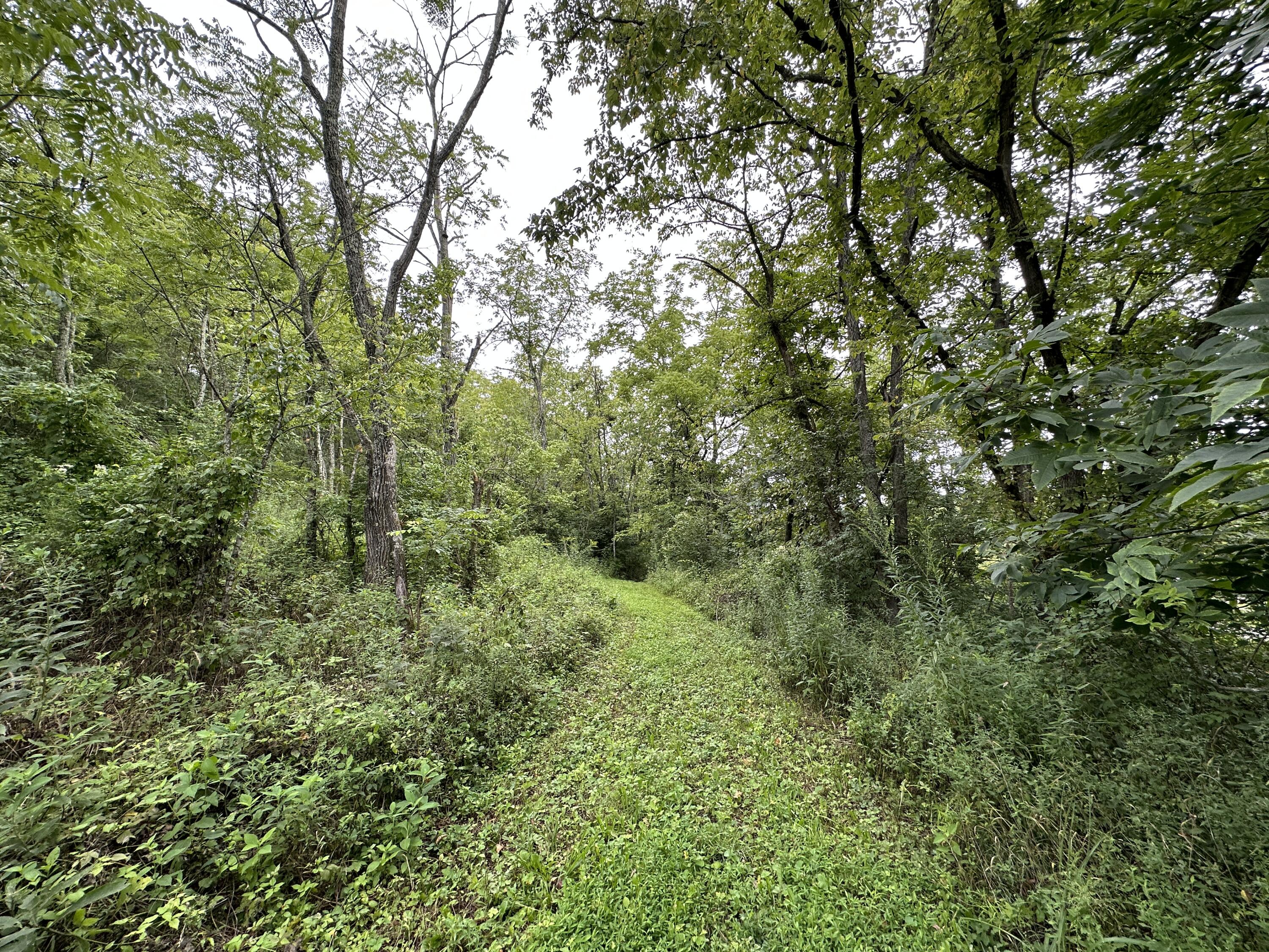 297 Ceder Road Owingsville, KY 40360 - Photo 16 of 26 Trail