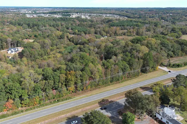 a view of a forest with a street