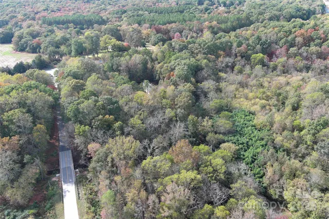 a view of a forest with a street