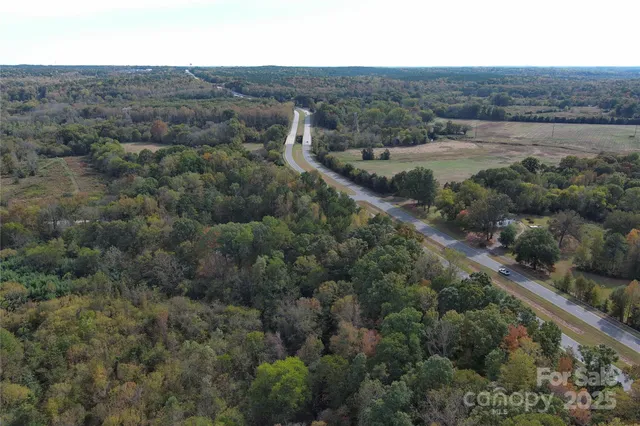 a view of a forest with a forest