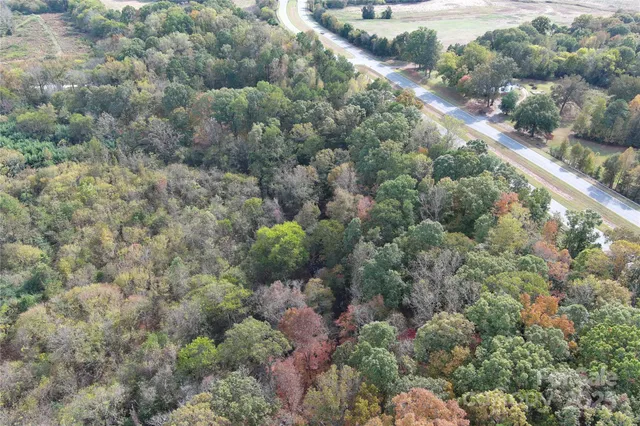 a view of a forest with a street
