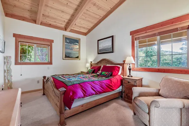 a view of a roof with potted plants in front of it