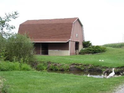 871 Brown Road Montgomery, MI 49255 - Photo 9 of 10 Additional Photo