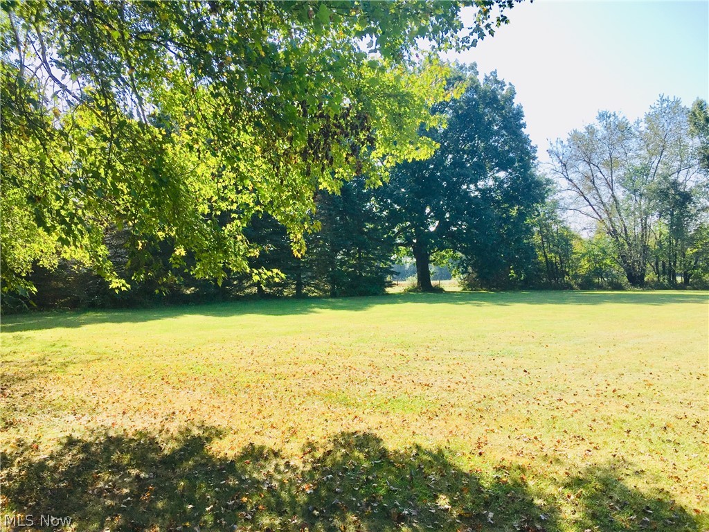 8356 South Cleveland Massillon Road Clinton, OH 44216 - Photo 15 of 30 VIEW OF THE BACKYARD