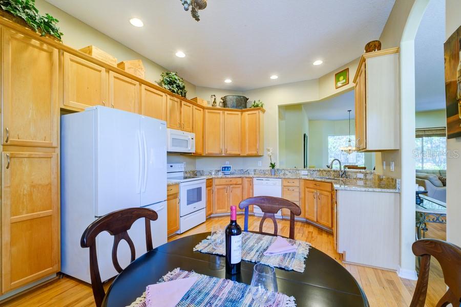 6619 Copper Ridge Trail Bradenton, FL 34201 - Photo 10 of 32 Gallery Image 10