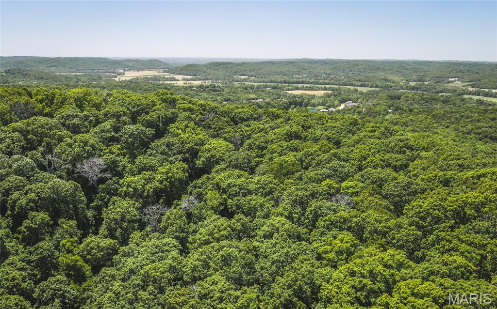 3000 Byrnes Mill Road High Ridge, MO 63049 - Photo 12 of 19