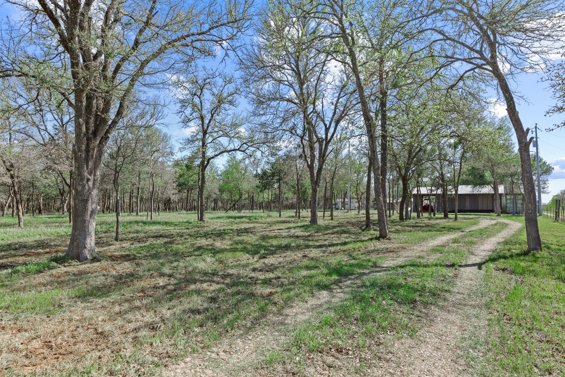 445 St Johns Road Dale, TX 78616 - Photo 2 of 17 a view of outdoor space with trees all around