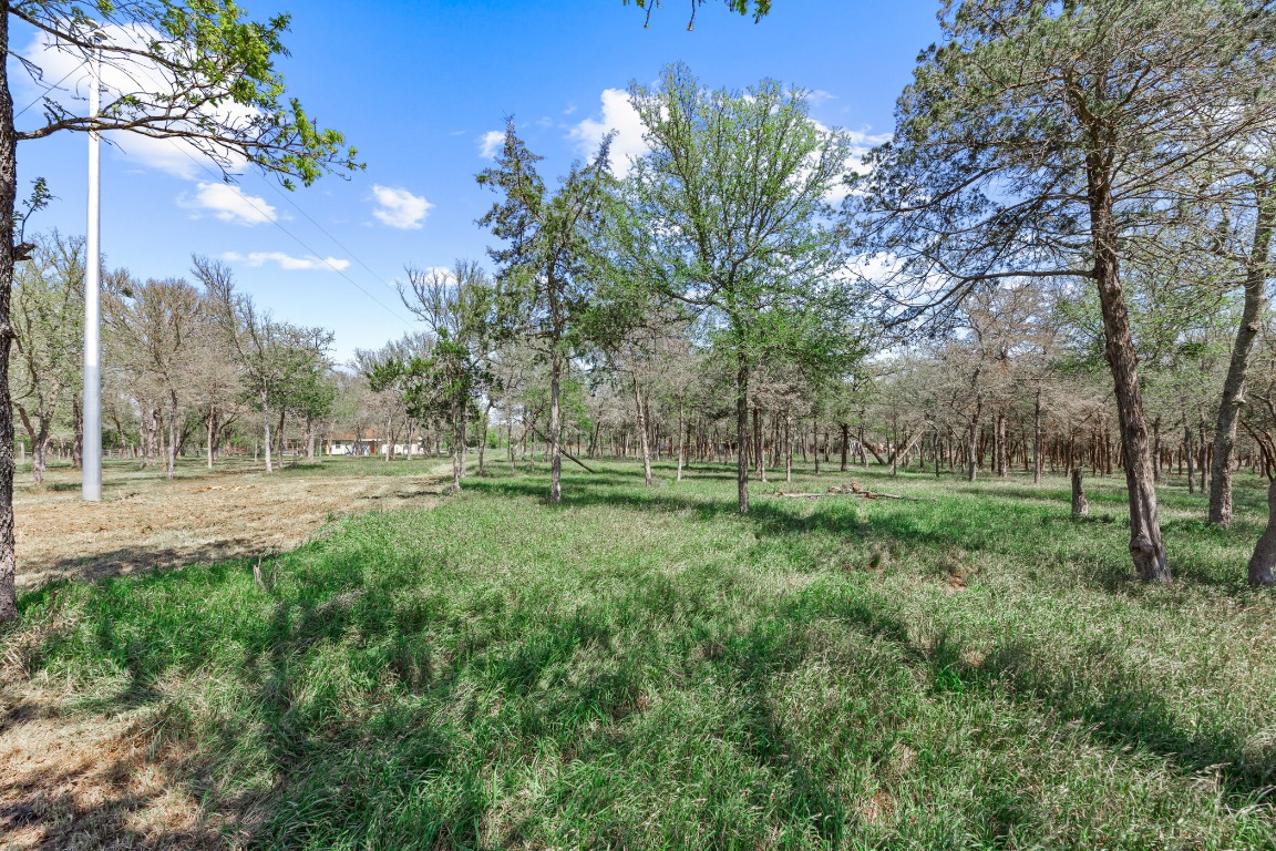445 St Johns Road Dale, TX 78616 - Photo 8 of 17 a view of outdoor space with green field and trees