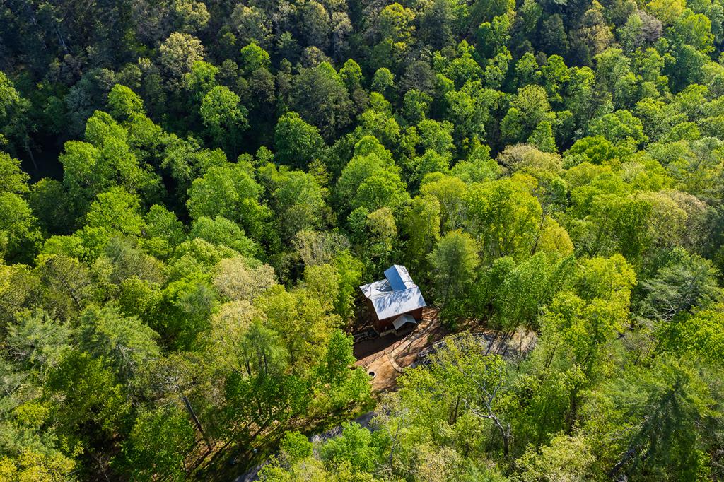 138 Rhondas Way Ellijay, GA 30540 - Photo 28 of 28