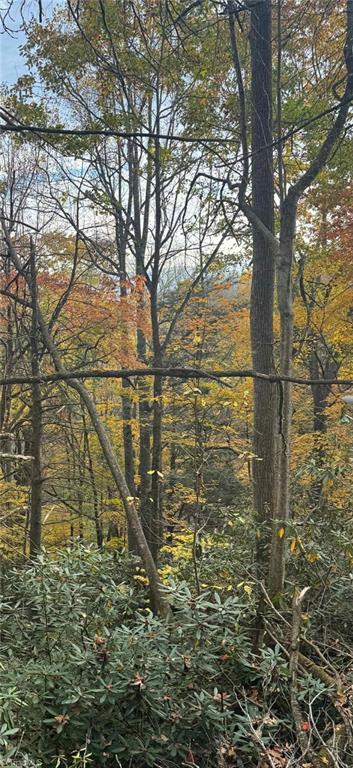 Lot E-15 Lot E-15 Laurel Ridge Road Banner Elk, NC 28604 - Photo 4 of 9