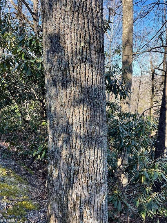 Lot E-15 Lot E-15 Laurel Ridge Road Banner Elk, NC 28604 - Photo 5 of 9