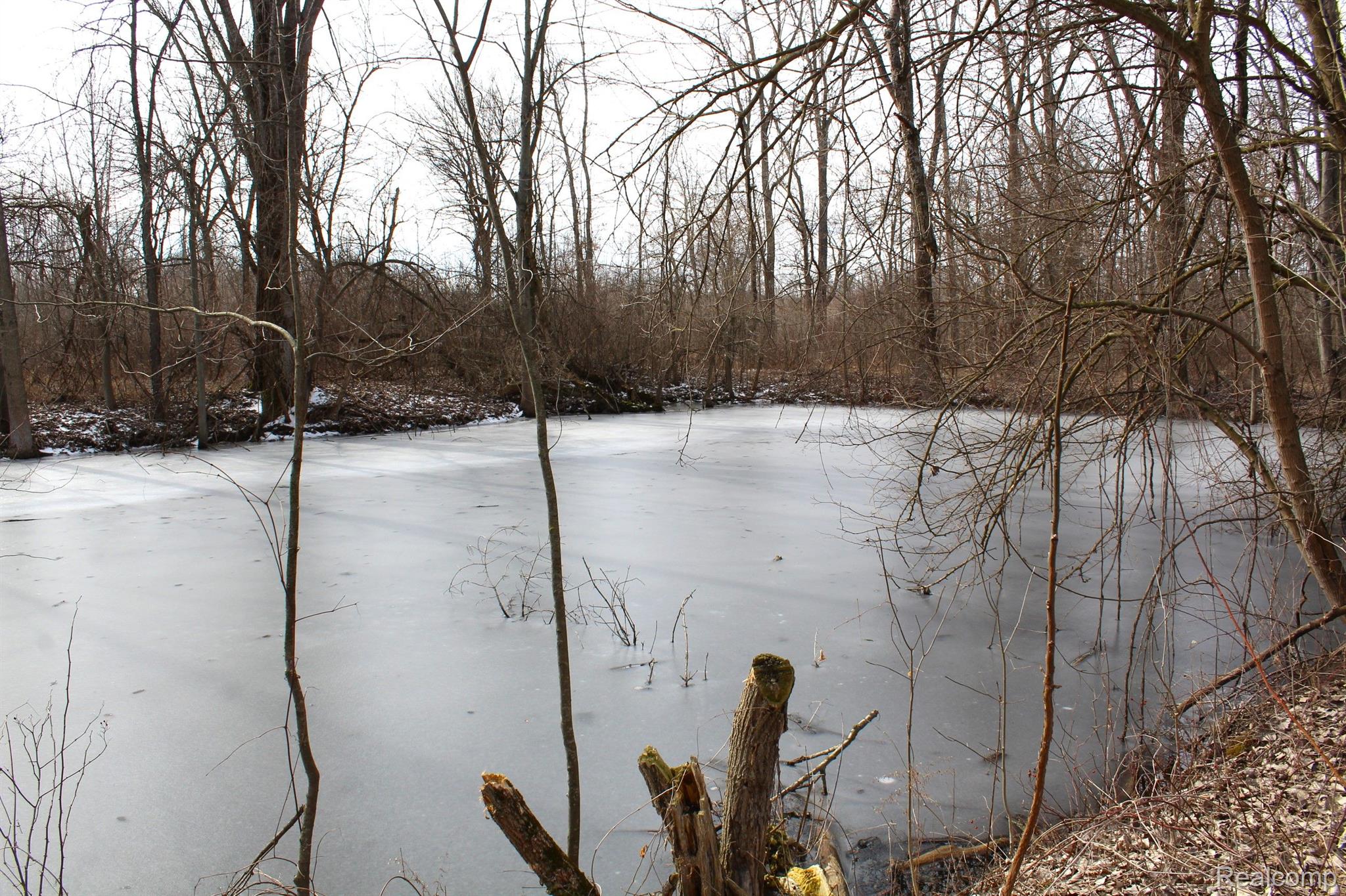 2550 Ducker Road North Branch, MI 48461 - Photo 48 of 64 Gallery Image 48