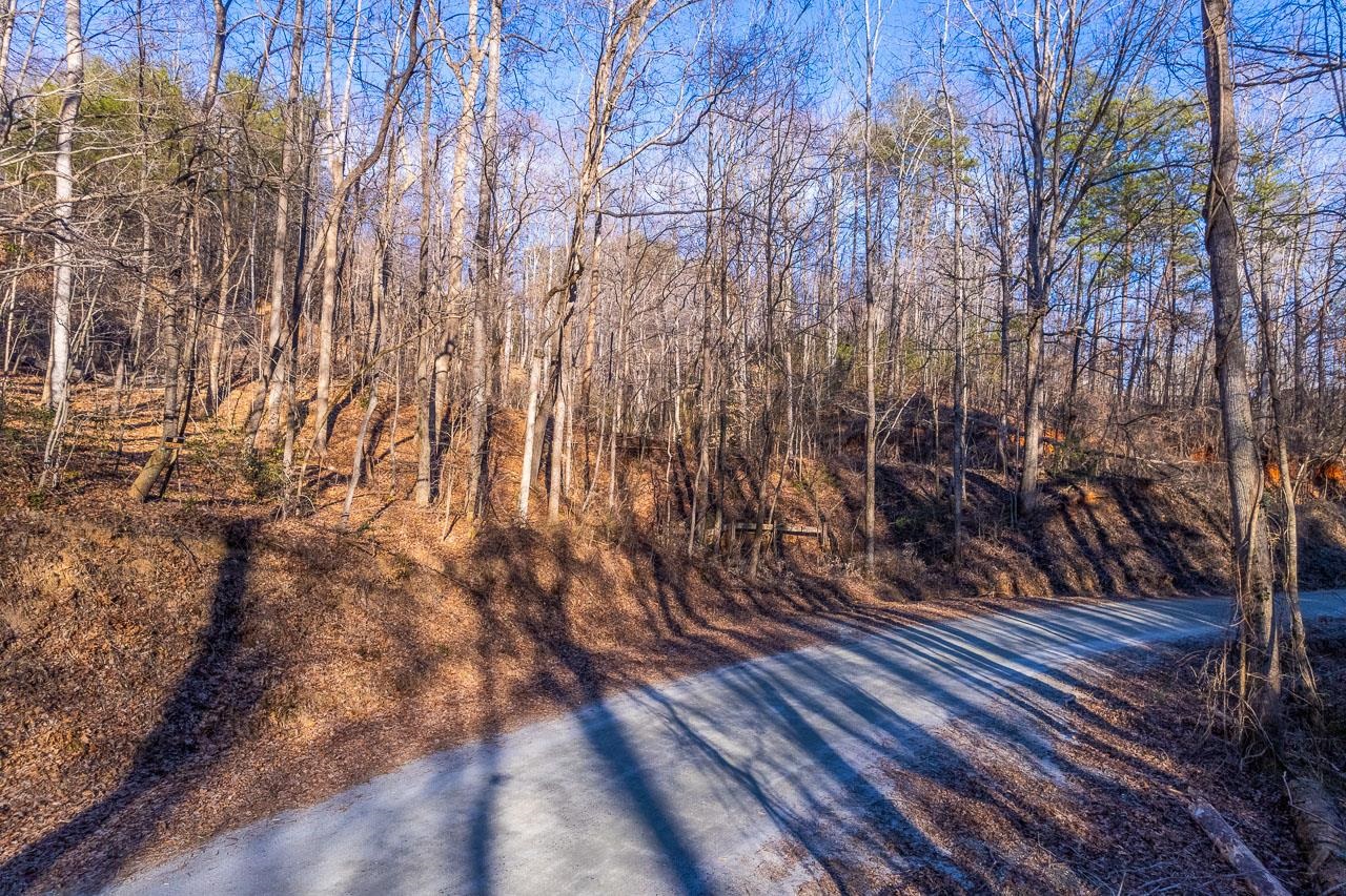 0 Capps Road Tryon, NC 28782 - Photo 12 of 21