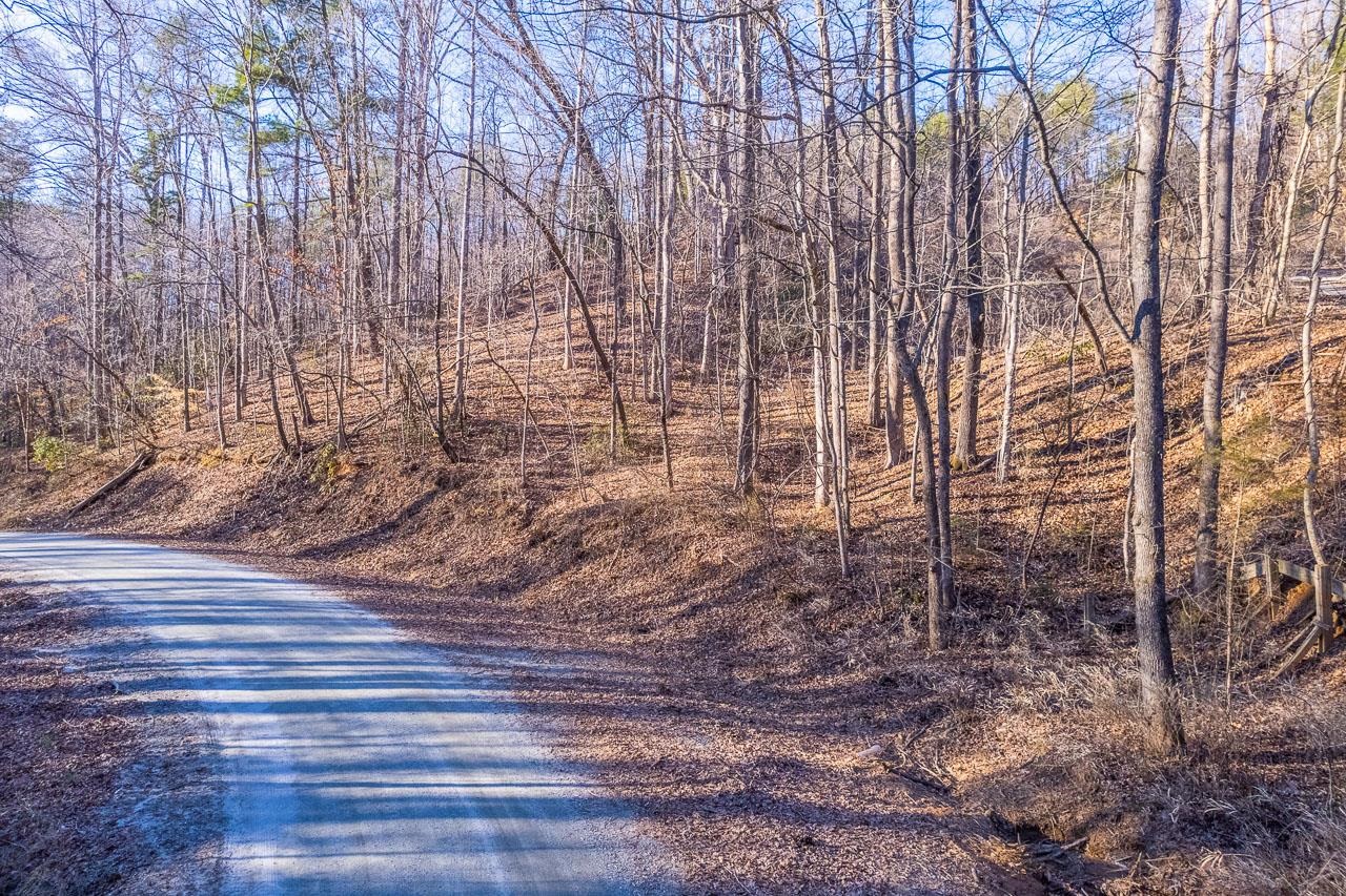 0 Capps Road Tryon, NC 28782 - Photo 13 of 21