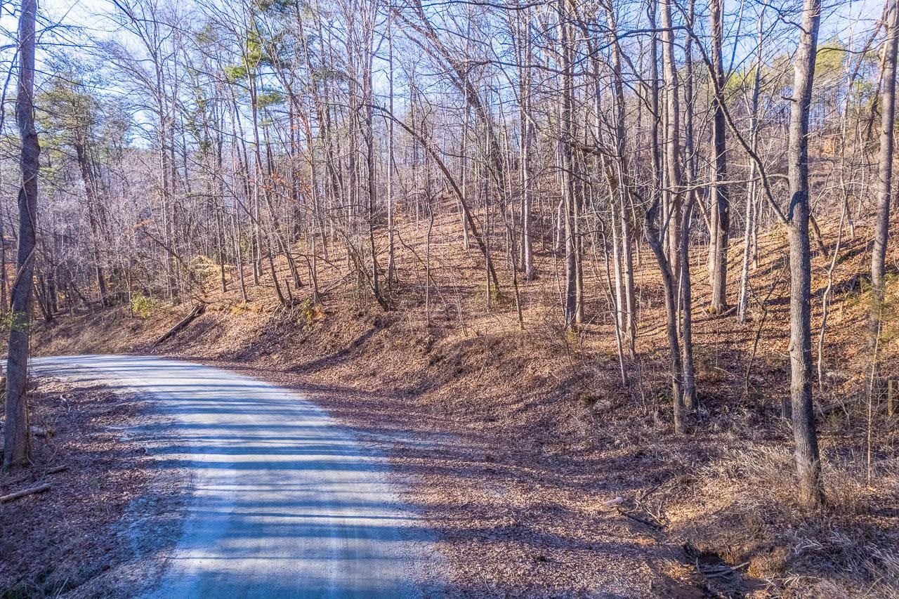 0 Capps Road Tryon, NC 28782 - Photo 15 of 21