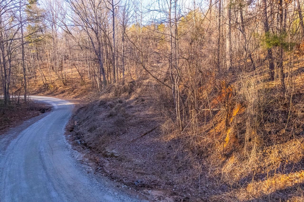 0 Capps Road Tryon, NC 28782 - Photo 16 of 21