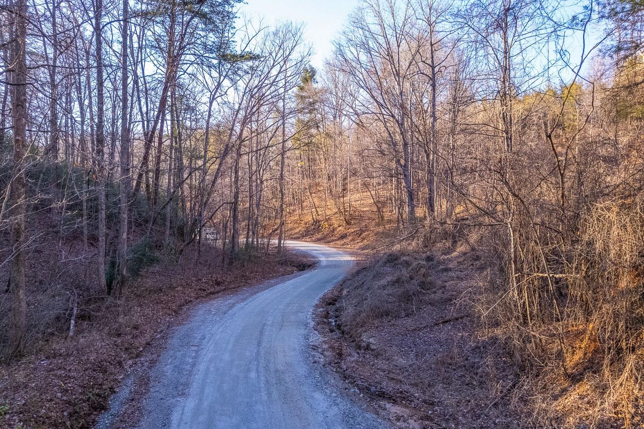 0 Capps Road Tryon, NC 28782 - Photo 17 of 21
