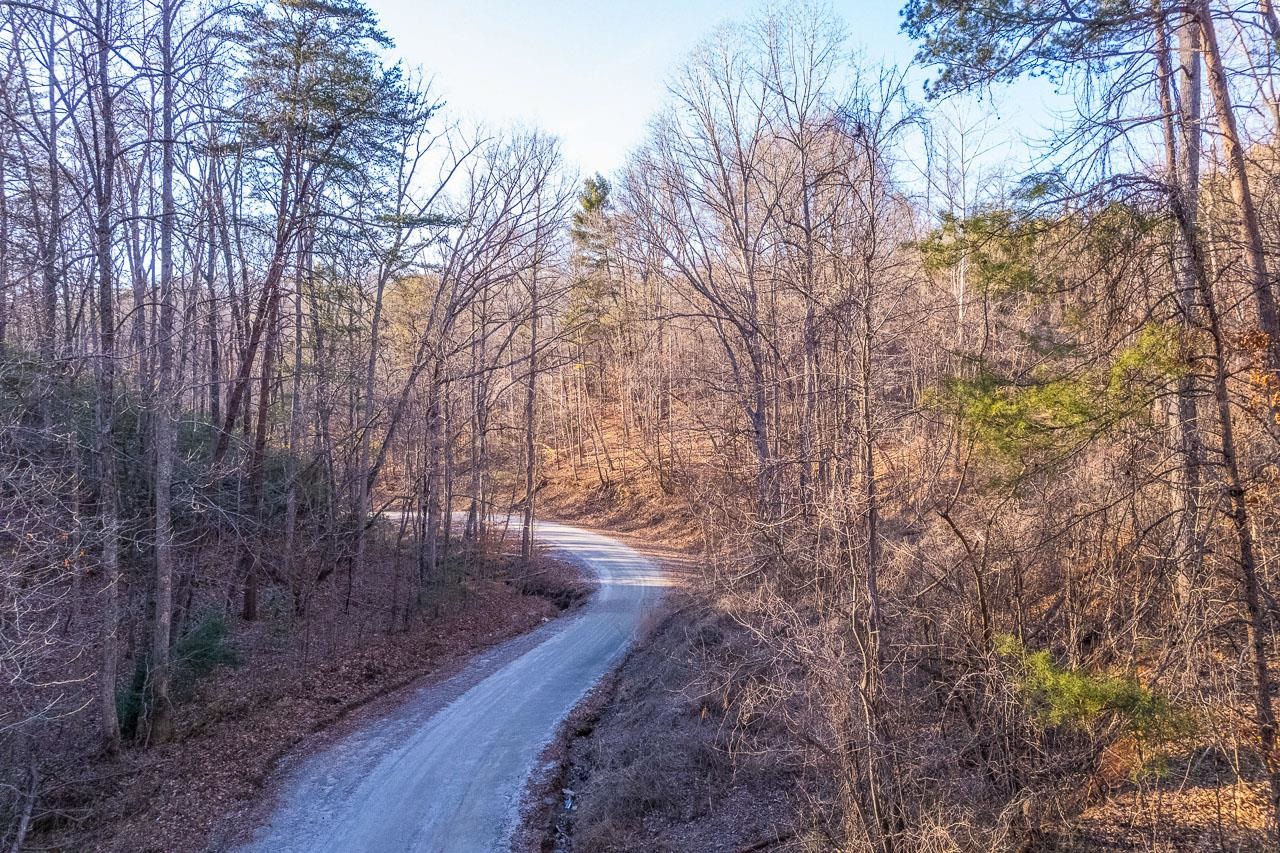 0 Capps Road Tryon, NC 28782 - Photo 18 of 21