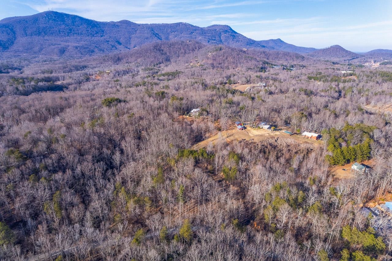 0 Capps Road Tryon, NC 28782 - Photo 20 of 21