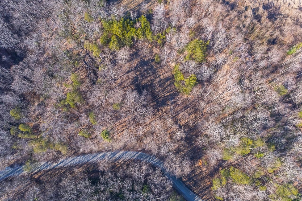 0 Capps Road Tryon, NC 28782 - Photo 2 of 21