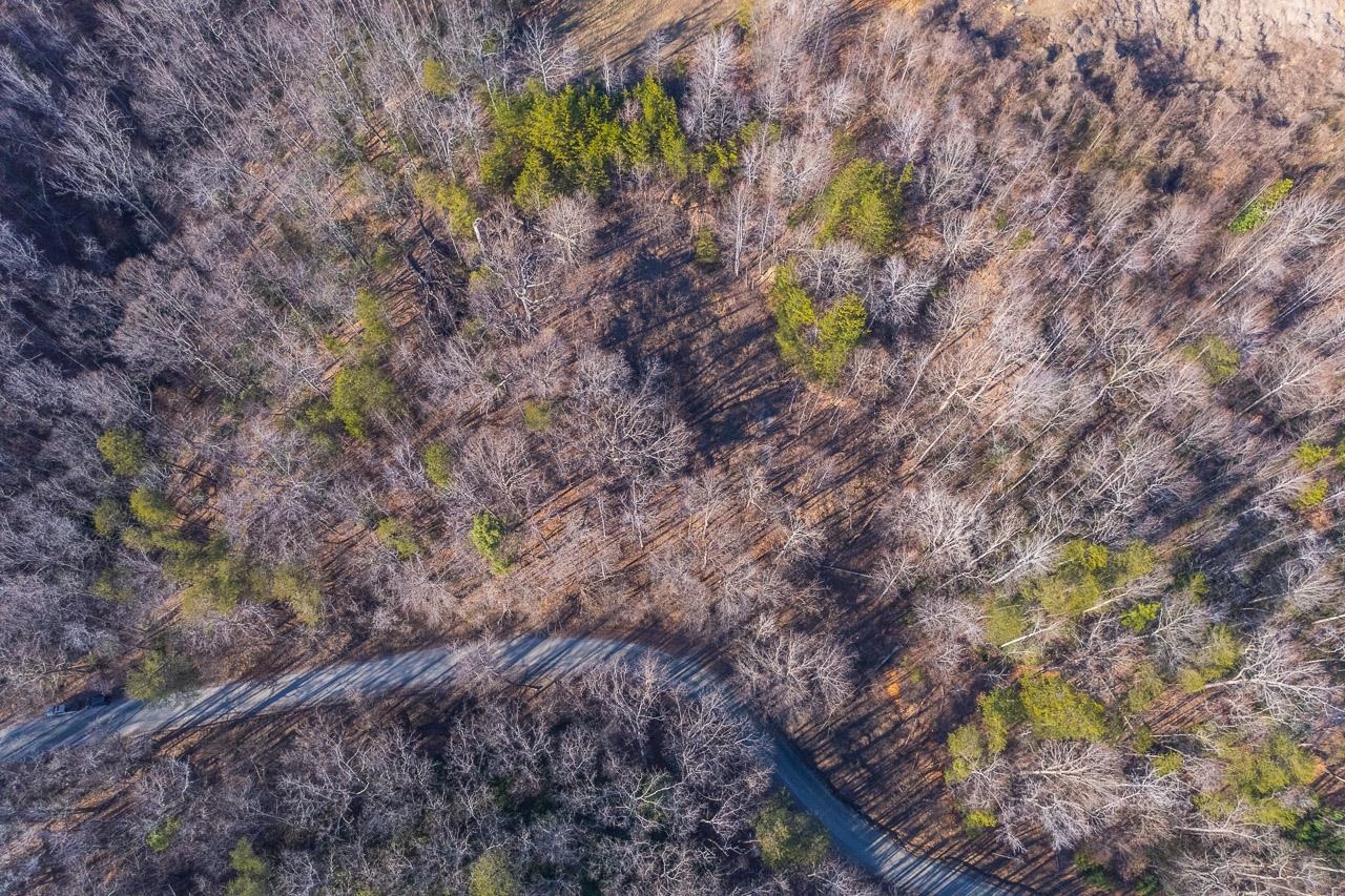 0 Capps Road Tryon, NC 28782 - Photo 3 of 21