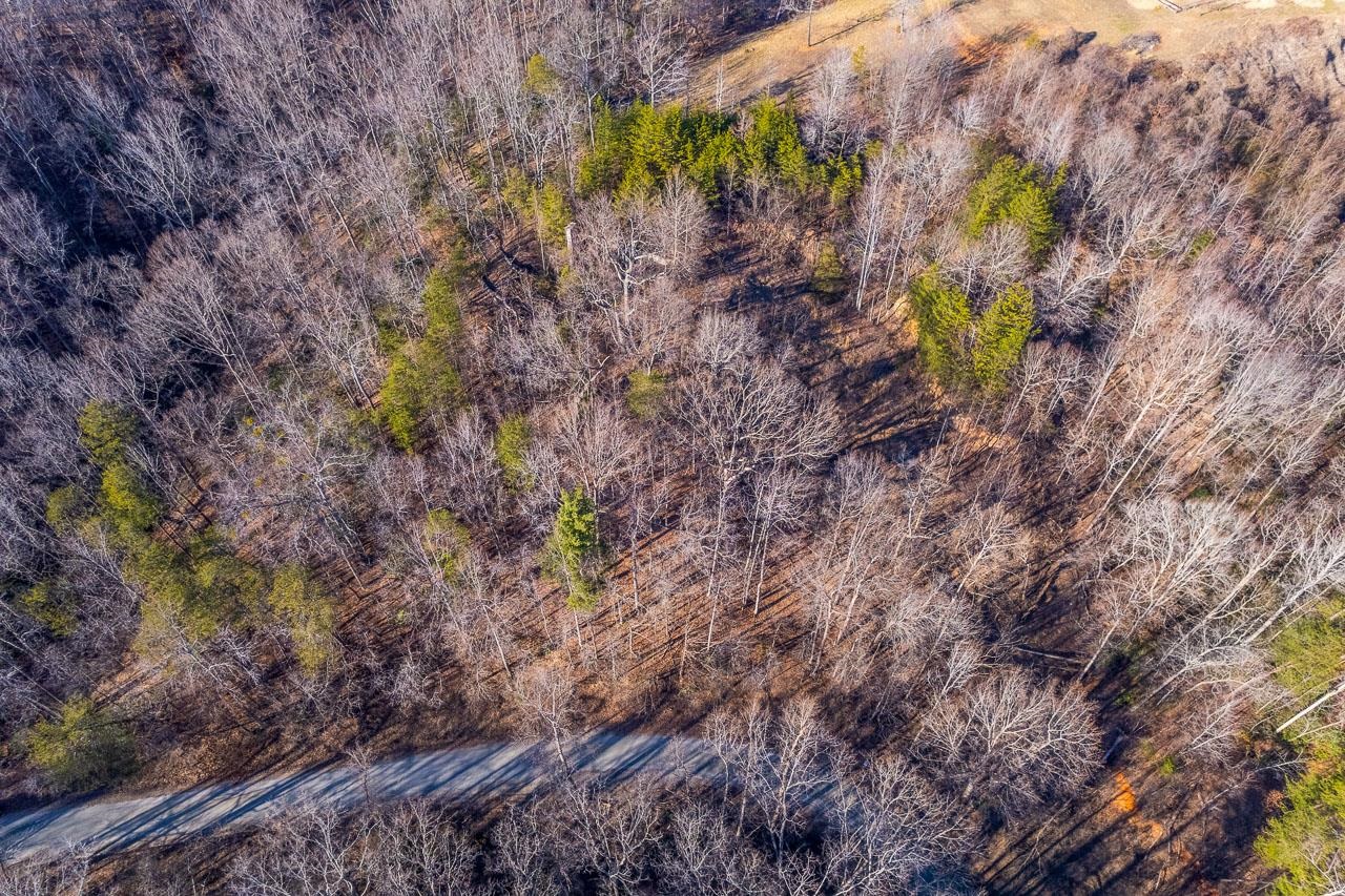 0 Capps Road Tryon, NC 28782 - Photo 4 of 21