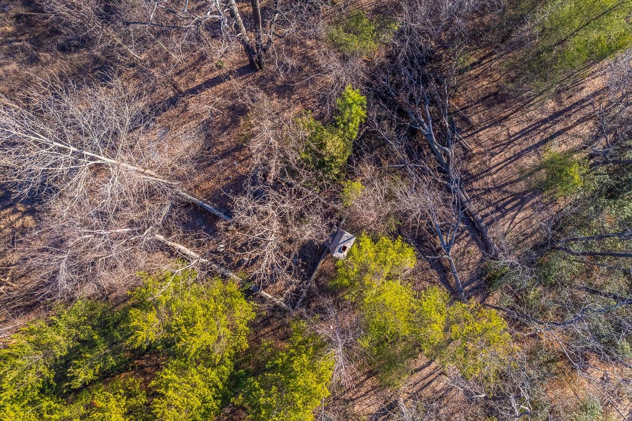 0 Capps Road Tryon, NC 28782 - Photo 5 of 21