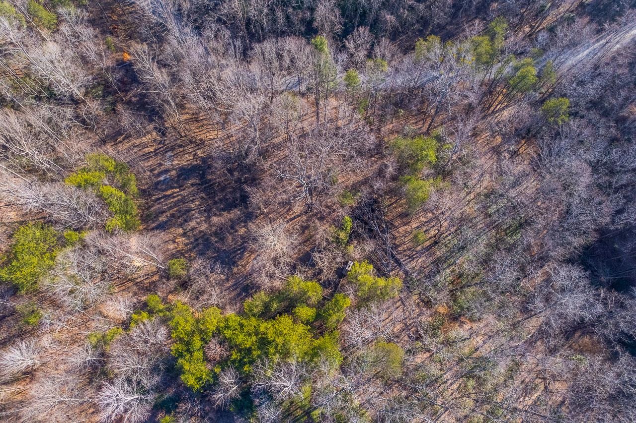 0 Capps Road Tryon, NC 28782 - Photo 6 of 21