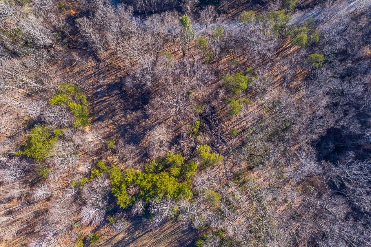 0 Capps Road Tryon, NC 28782 - Photo 7 of 21