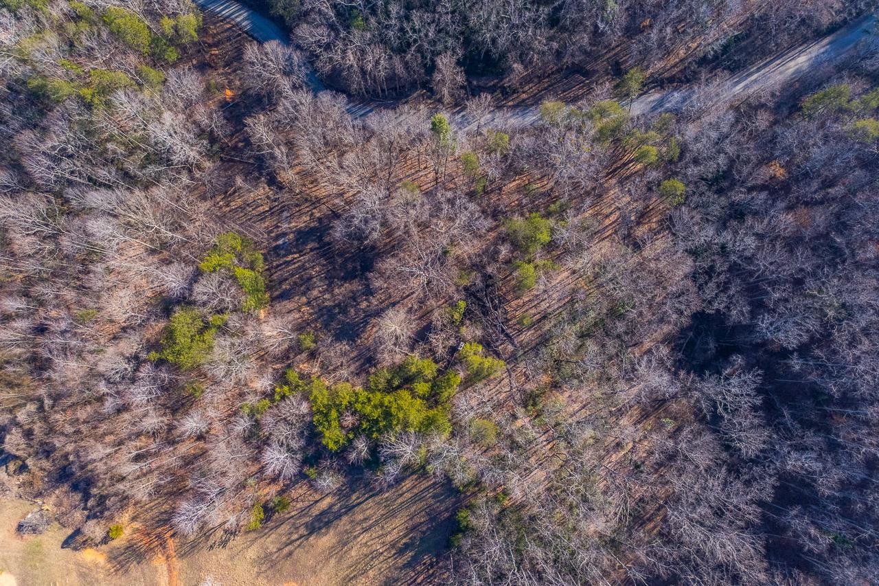 0 Capps Road Tryon, NC 28782 - Photo 8 of 21