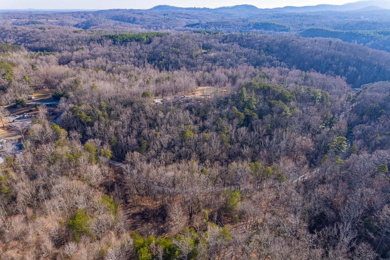 0 Capps Road Tryon, NC 28782 - Photo 9 of 21