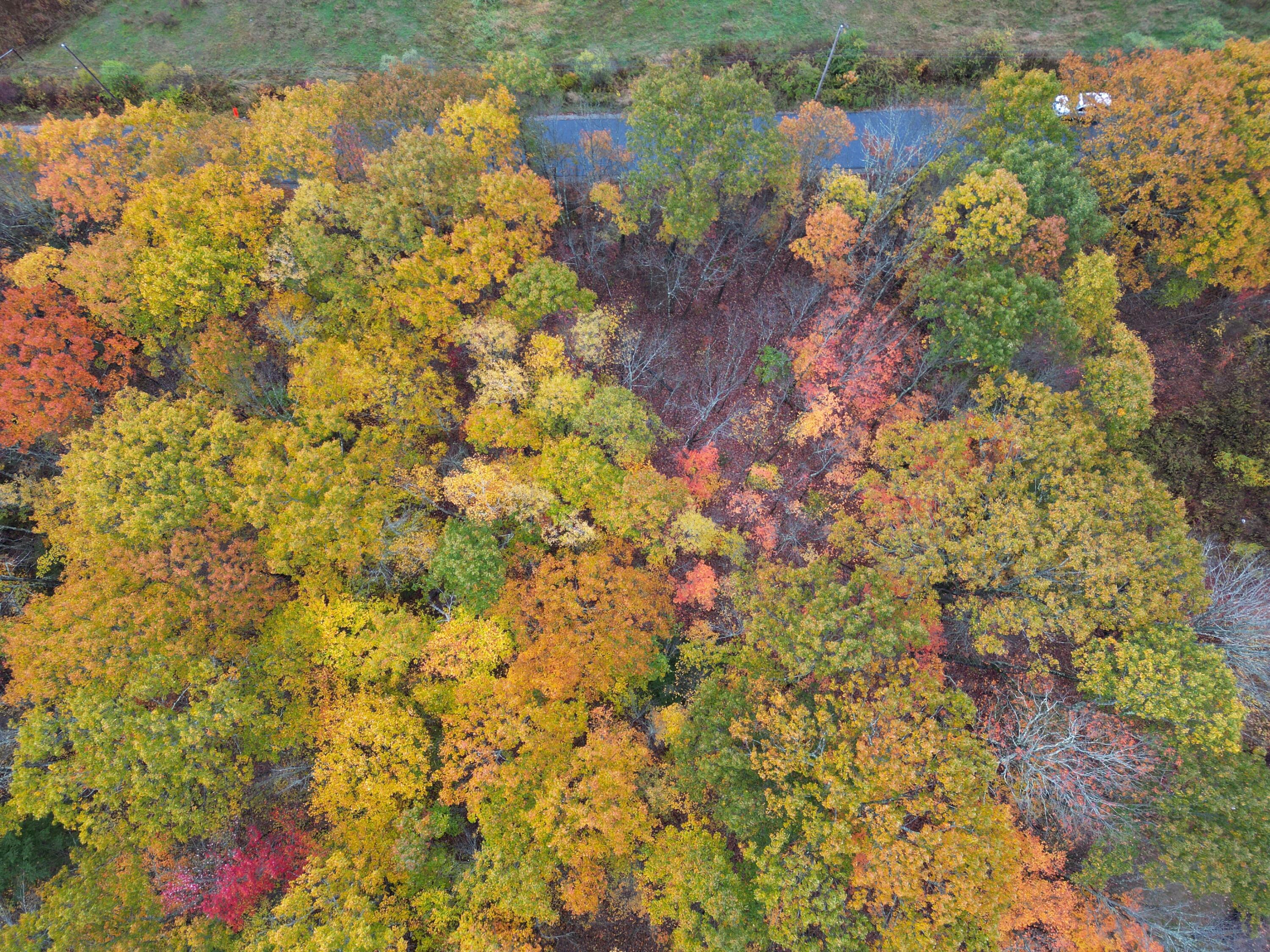 298 Brown Road Richmond, ME 04357 - Photo 4 of 6 DJI_0892