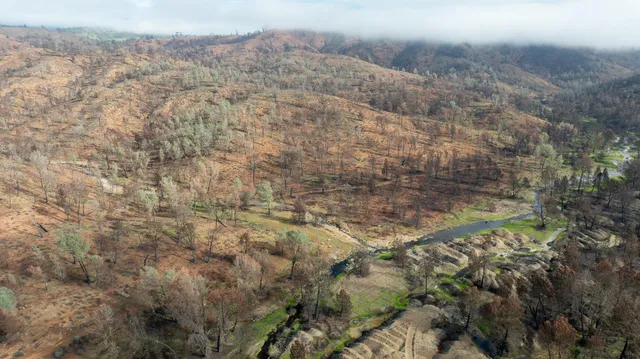 a view of a dry yard