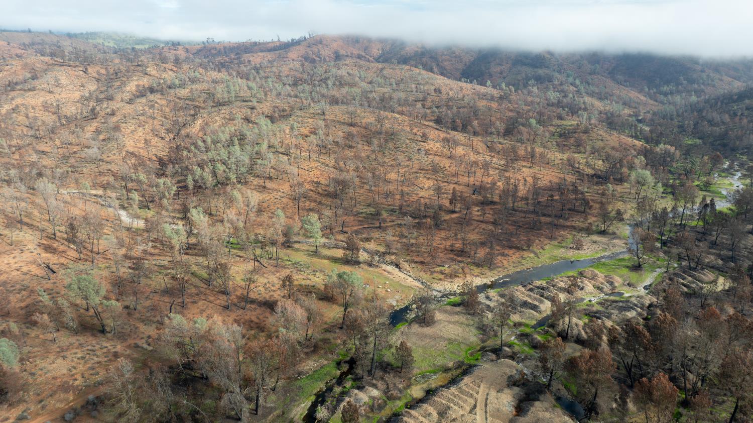 a view of a dry yard