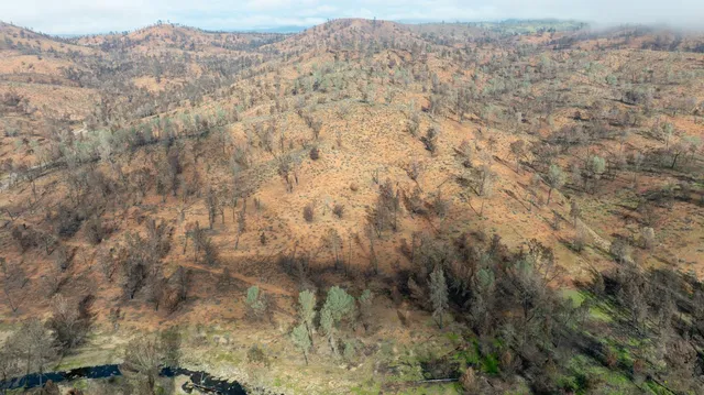 a view of a dry yard