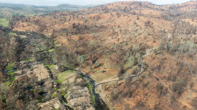 a view of a dry yard with green space