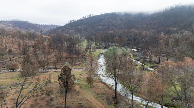 a view of a houses with a yard