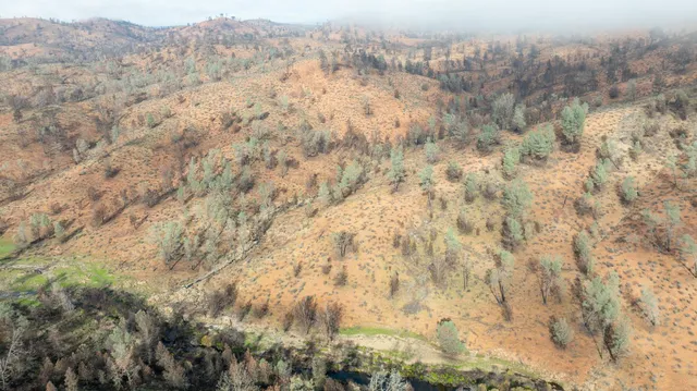 a view of a dry yard