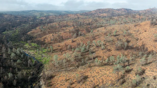 a view of a dry yard with mountains and green space