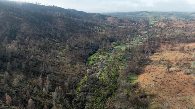 a view of a yard with an outdoor space