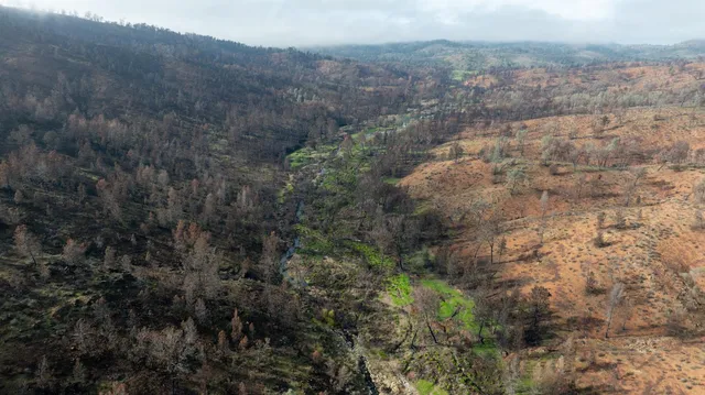 a view of a yard with an outdoor space