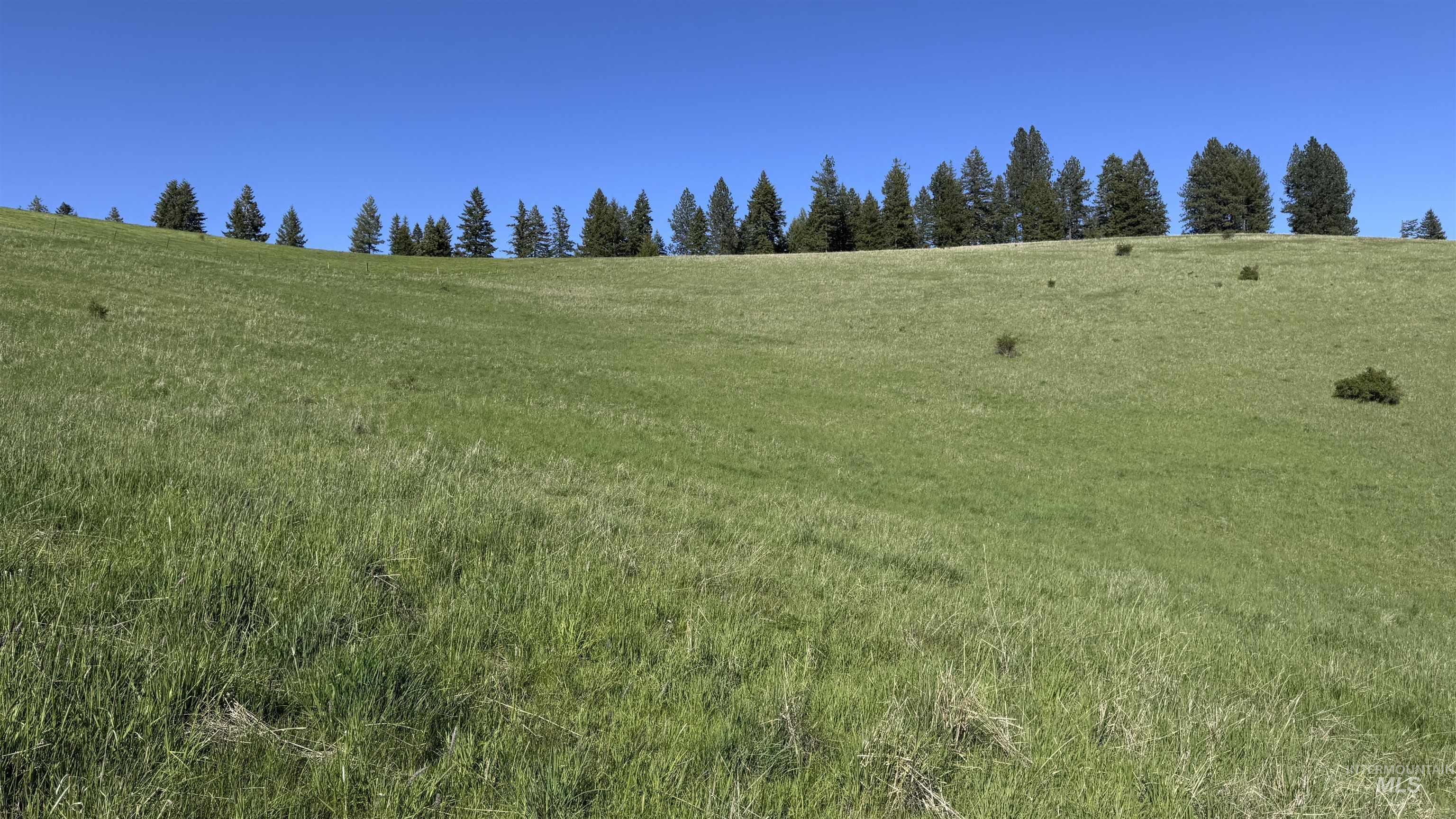 Tbd Harrisburg Road Kamiah, ID 83536 - Photo 23 of 50