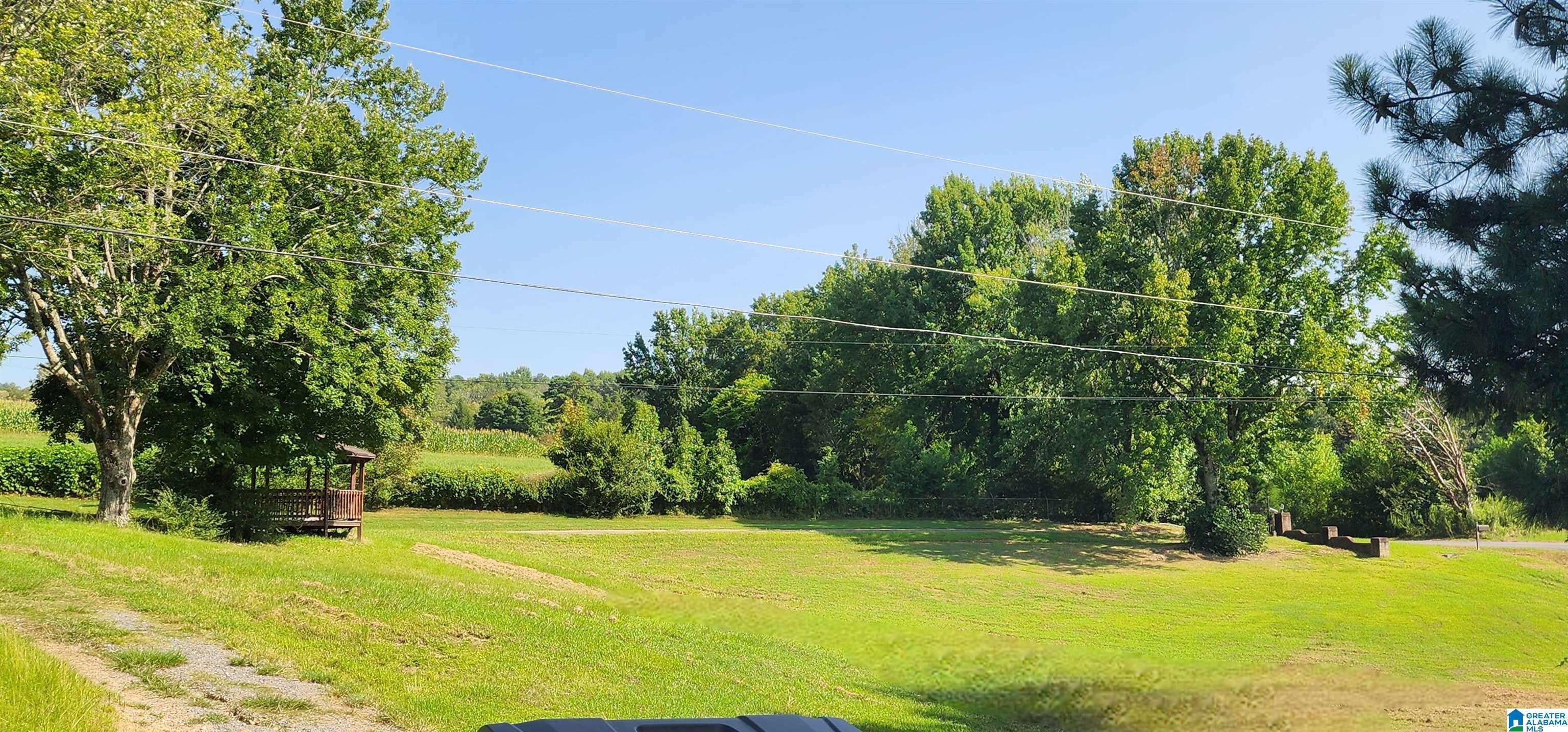 2811 Ebell Road Oneonta, AL 35121 - Photo 49 of 56 Gallery Image 49