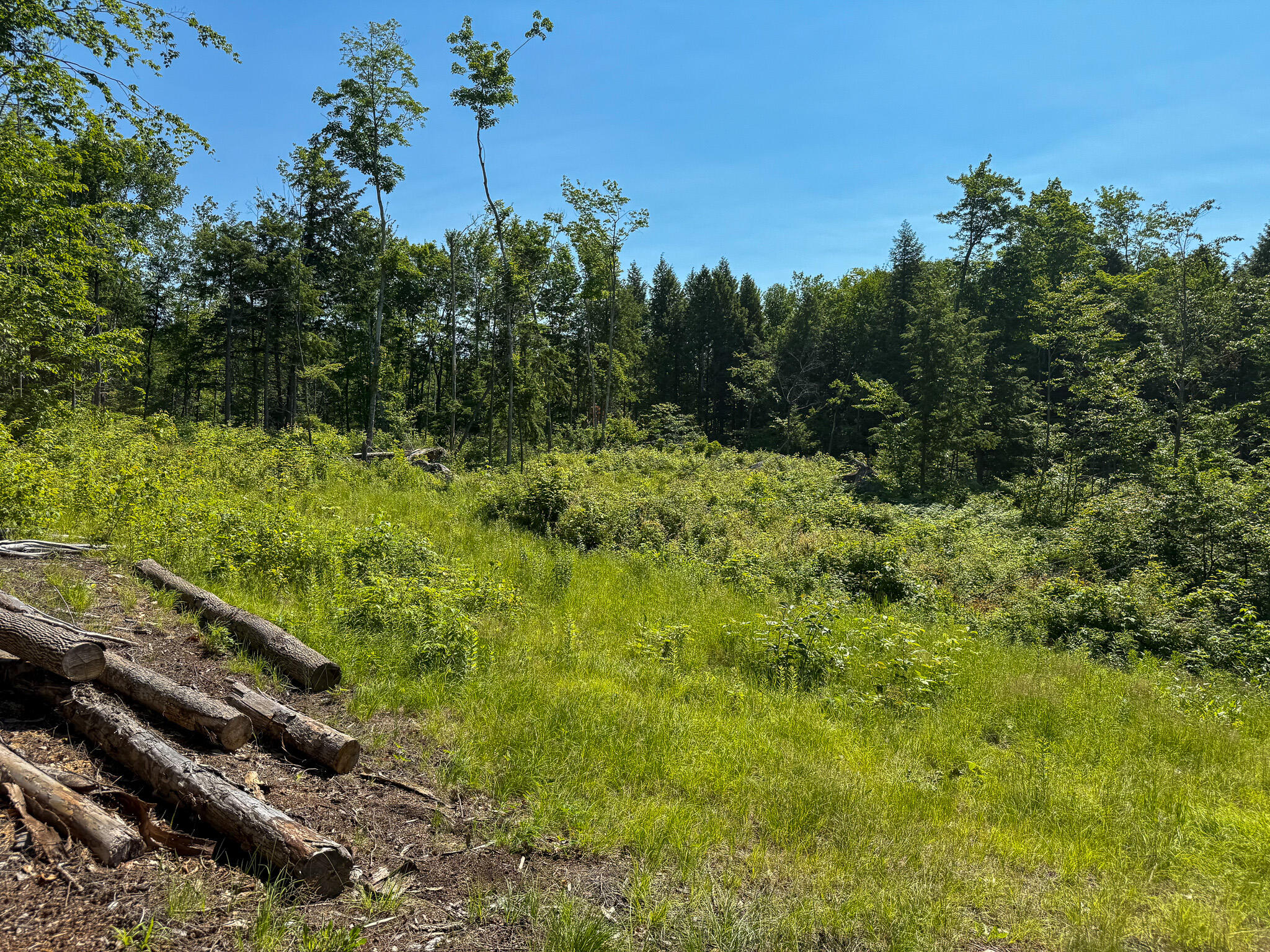 Lot 39 Sawyer Notch Road Andover, ME 04216 - Photo 24 of 34 IMG_0837